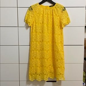 Zara basic lace shift dress